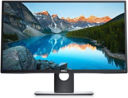 Dell/Flate Panel Monitor/24''