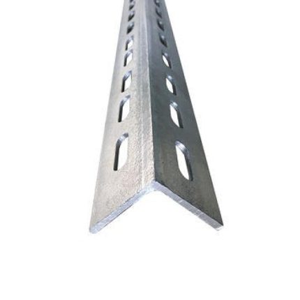 CAME/Steel Angel