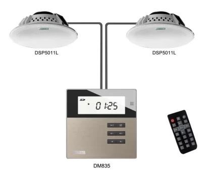 DSPPA/Music Amplifier with 2 Speaker